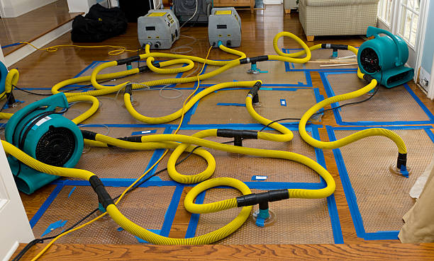 Professional Crawl Space Water Removal technician working in Weldon, CA